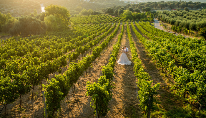 cyprus-vineyard-wedding