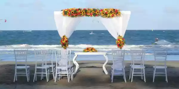 Viva Tangerine by Wyndham