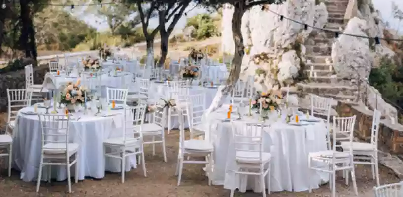 Olive Grove