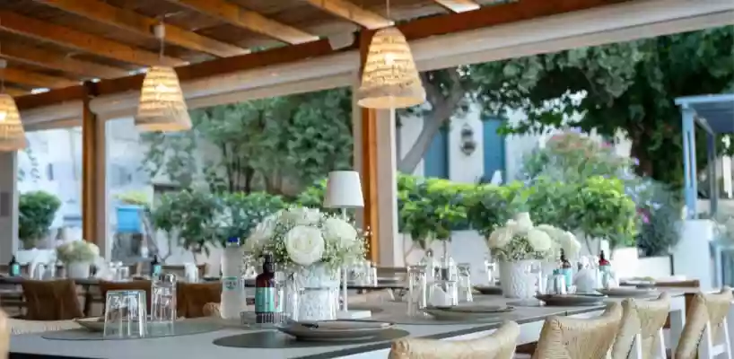 Roots Restaurant